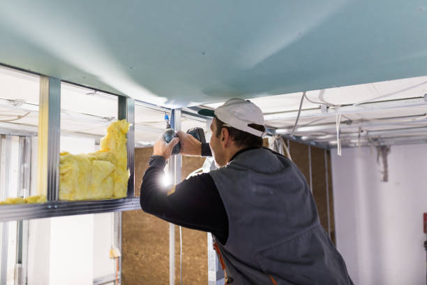 Best DIY Insulation Kits and Guidance in Lynnville, IN